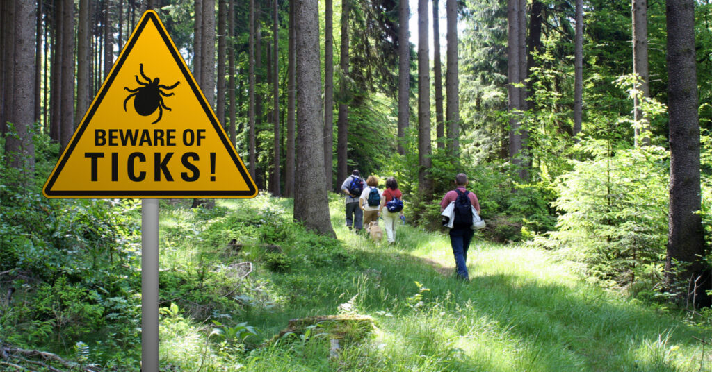 what are the symptoms of lyme disease in dogs