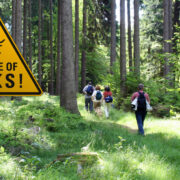 what are the symptoms of lyme disease in dogs