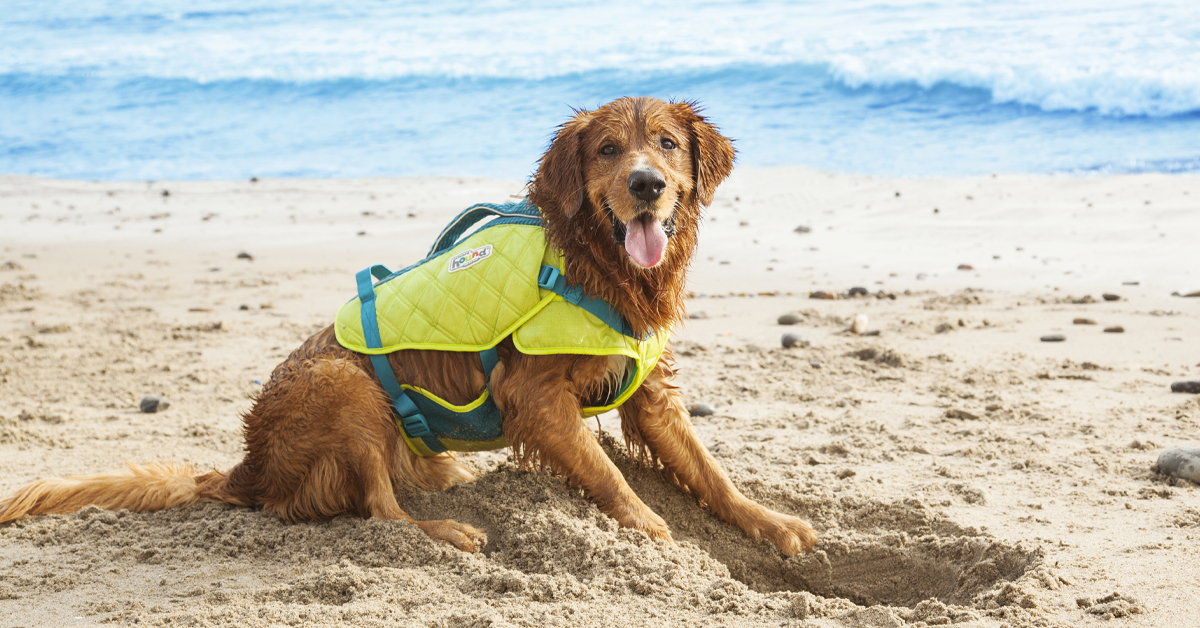 Standley Sport Life Jacket Fitting Instructions