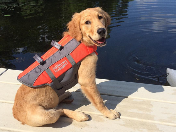 pawsitivelytucker