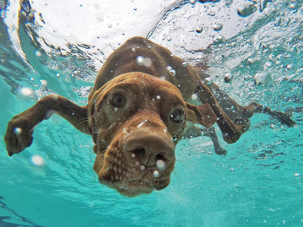 CHECK OUT THE PICS FROM OUR #SUMMERRUV PHOTO CONTEST!