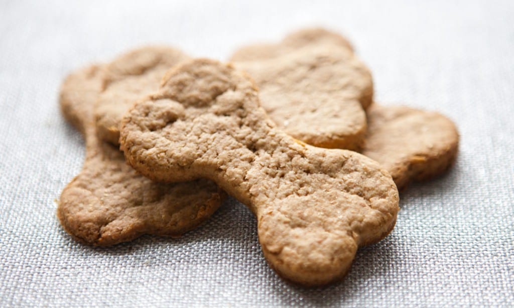 halloween dog treat recipes