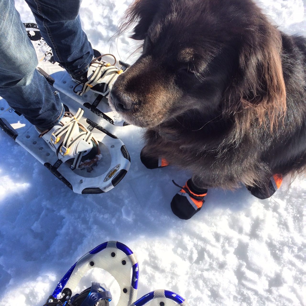 WHY WINTER ADVENTURES ARE THE BEST ADVENTURES