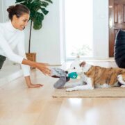 dog tug toy
