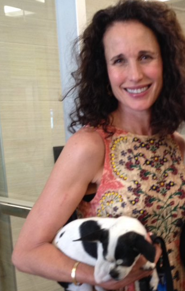 Andie MacDowell