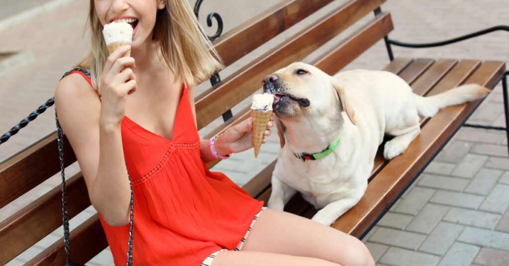 dog eating ice cream