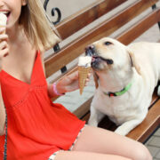 dog eating ice cream