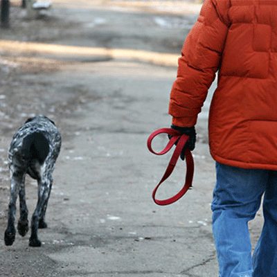 pc: Loving Your Dog
