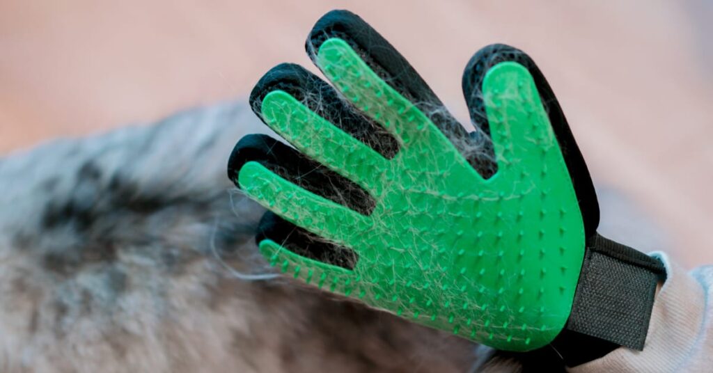 how to get rid of pet hair