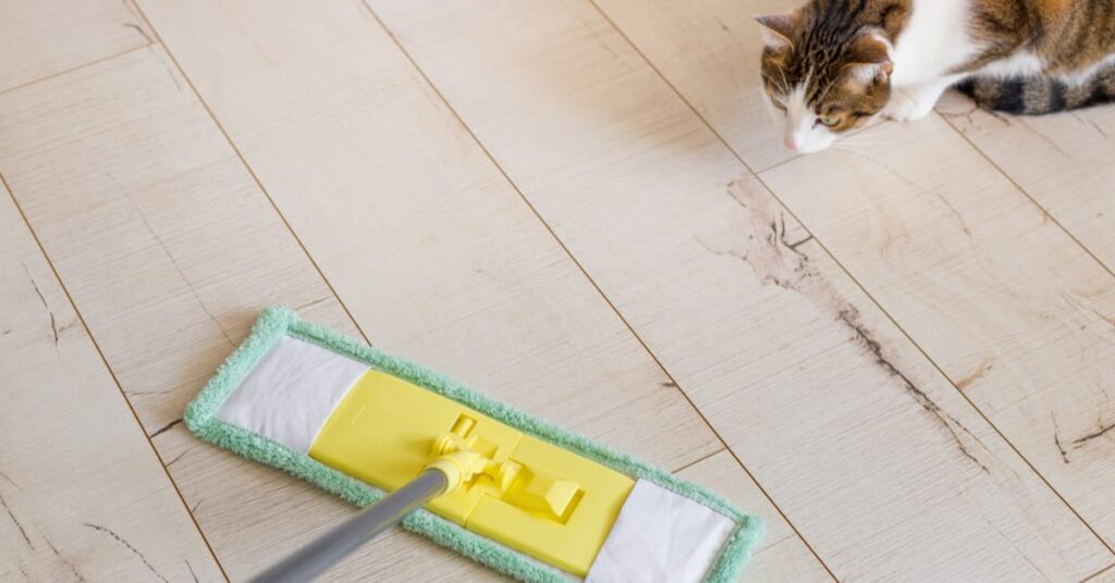 how to get rid of pet hair
