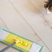 how to get rid of pet hair
