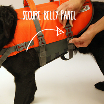 dog life jacket fitting instructions