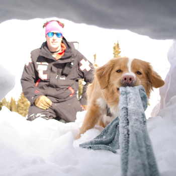 View from inside a snow cave with SAR team and dog outside looking in