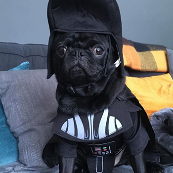 darth vader costumes