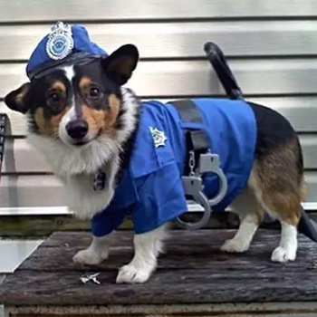 halloween costumes