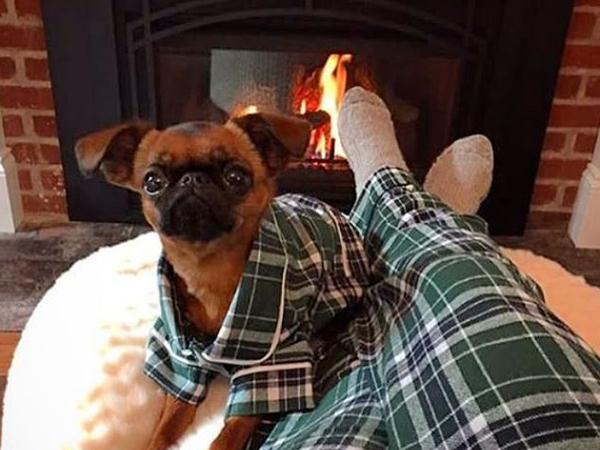 15 Photos Of Matching Dog & Owner Pajamas Just In Time For The Holidays