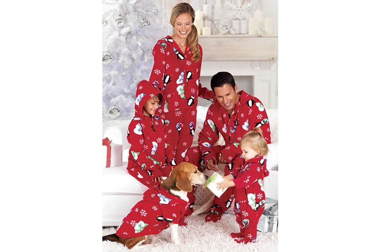 dog and owners wearing matching pajamas