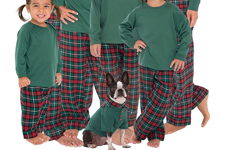 cute dogs wearing pajamas