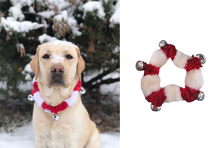 dogs dressed up for christmas