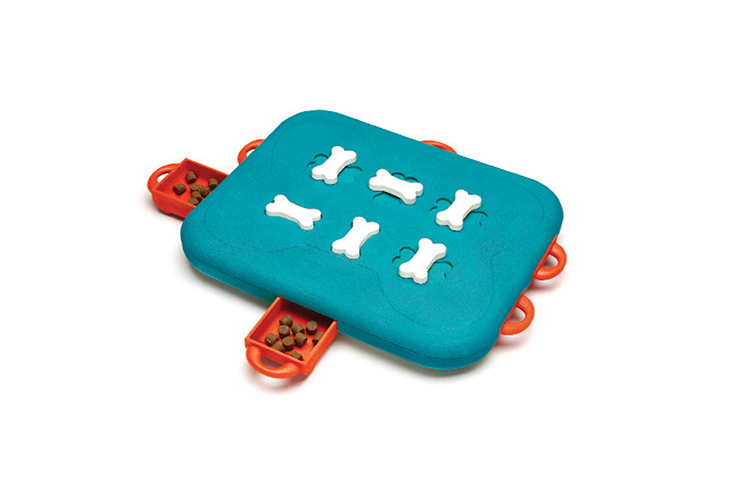 interactive dog toy