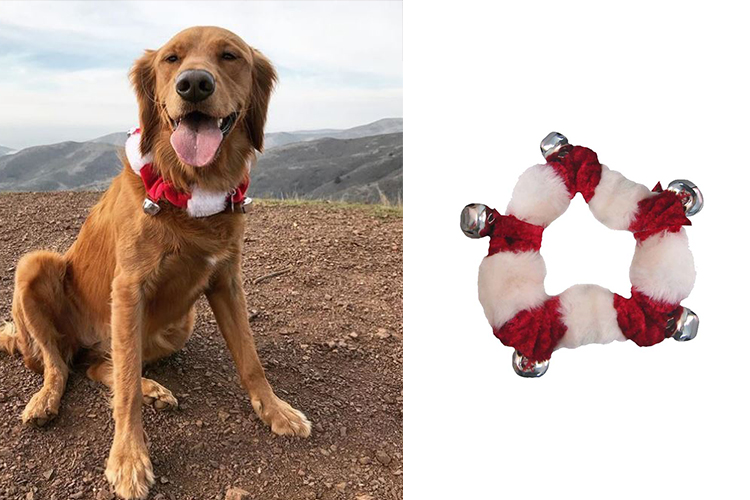 dog christmas collars with bells