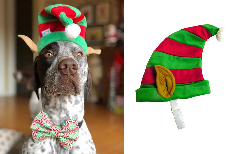dogs dressed up for christmas