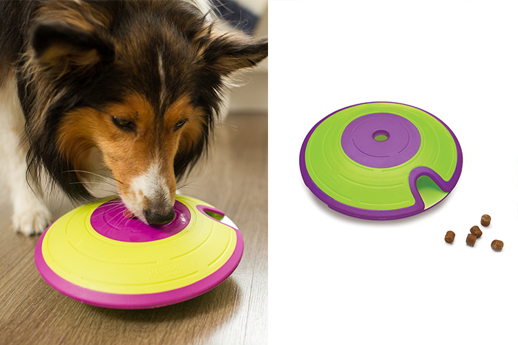 interactive dog toy