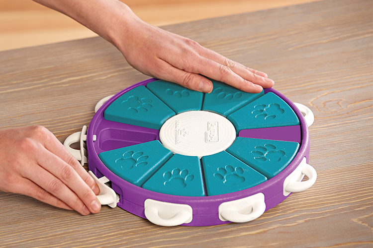 interactive dog toy and game