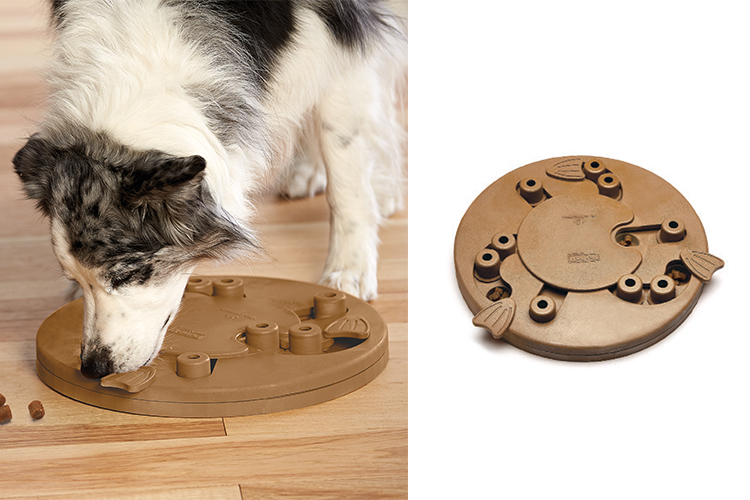 interactive dog toy