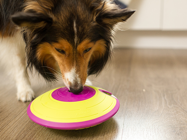 puppy enrichment toys nina ottosson dog maze interactive dog toys
