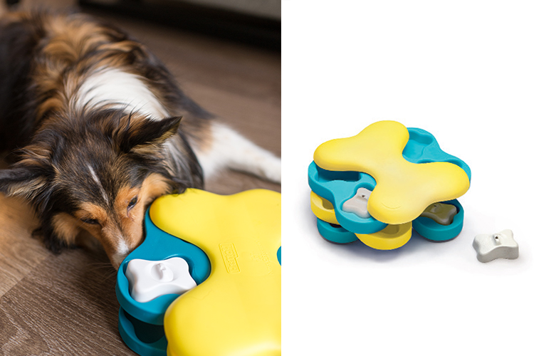 interactive dog toy