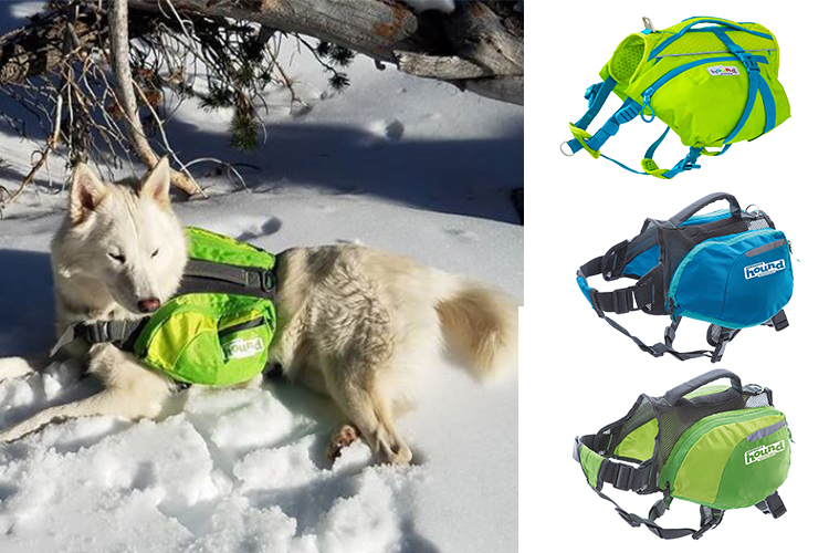 shop dog backpacks for walking and hiking in the snow