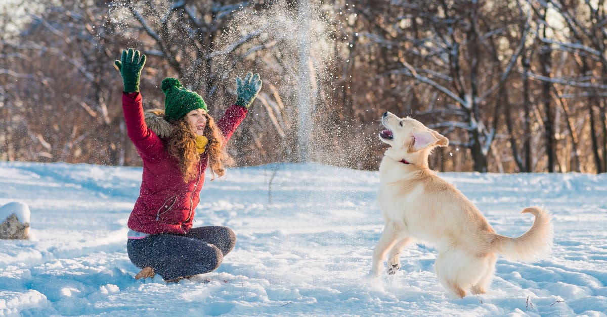 6 Winter Care Tips Your Dog Doesn’t Want You to Miss