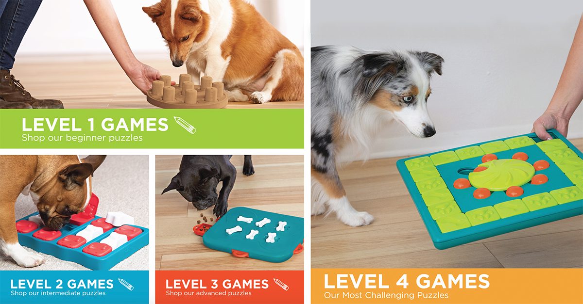 interactive dog toys for mental stimuation for dogs