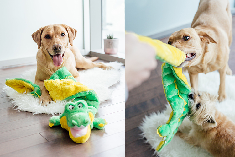 dog tug toy