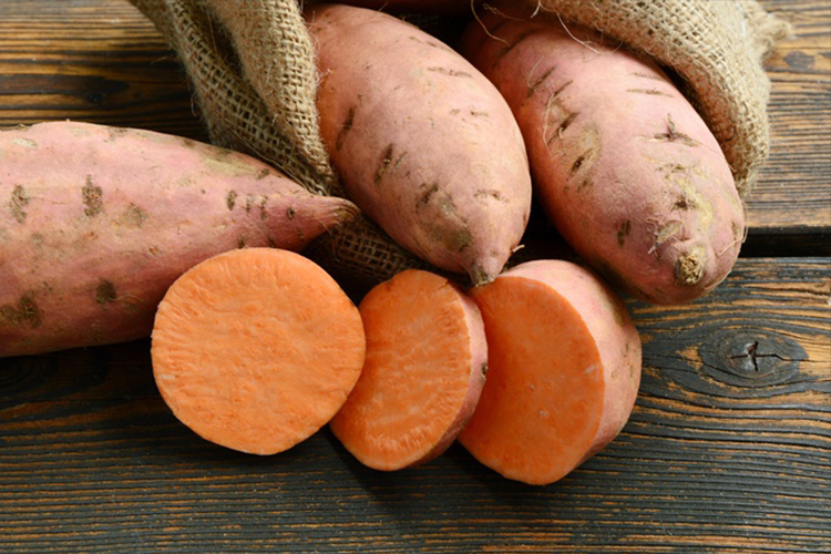 can dogs eat sweet potatoes