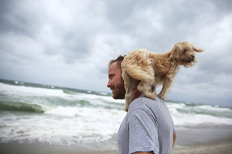 6 SAFETY TIPS FOR PETS IN HURRICANES | PET DISASTER PREPAREDNESS
