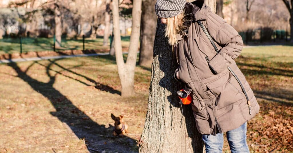 how to play hide and seek with dog
