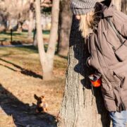 how to play hide and seek with dog