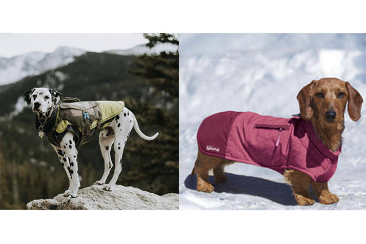Coats for dogs of all sizes