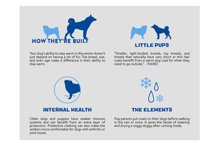 Dog Attributes 