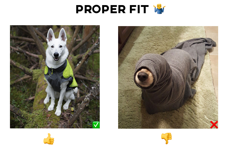 Proper Fit