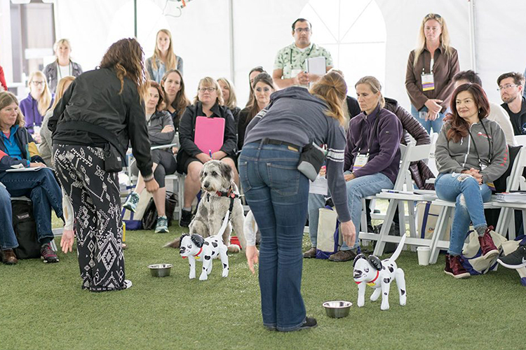 dog trainer conference
