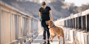  person walking dog
