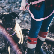 girl in boots holding on to black dog with a pink leash using dog safety commands