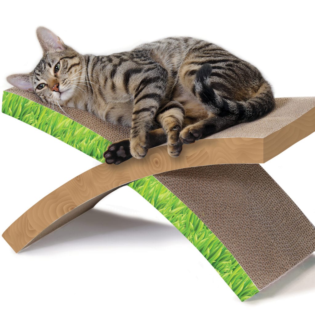 CAT GIFT GUIDE CAT SCRATCHER AND HAMMOCK