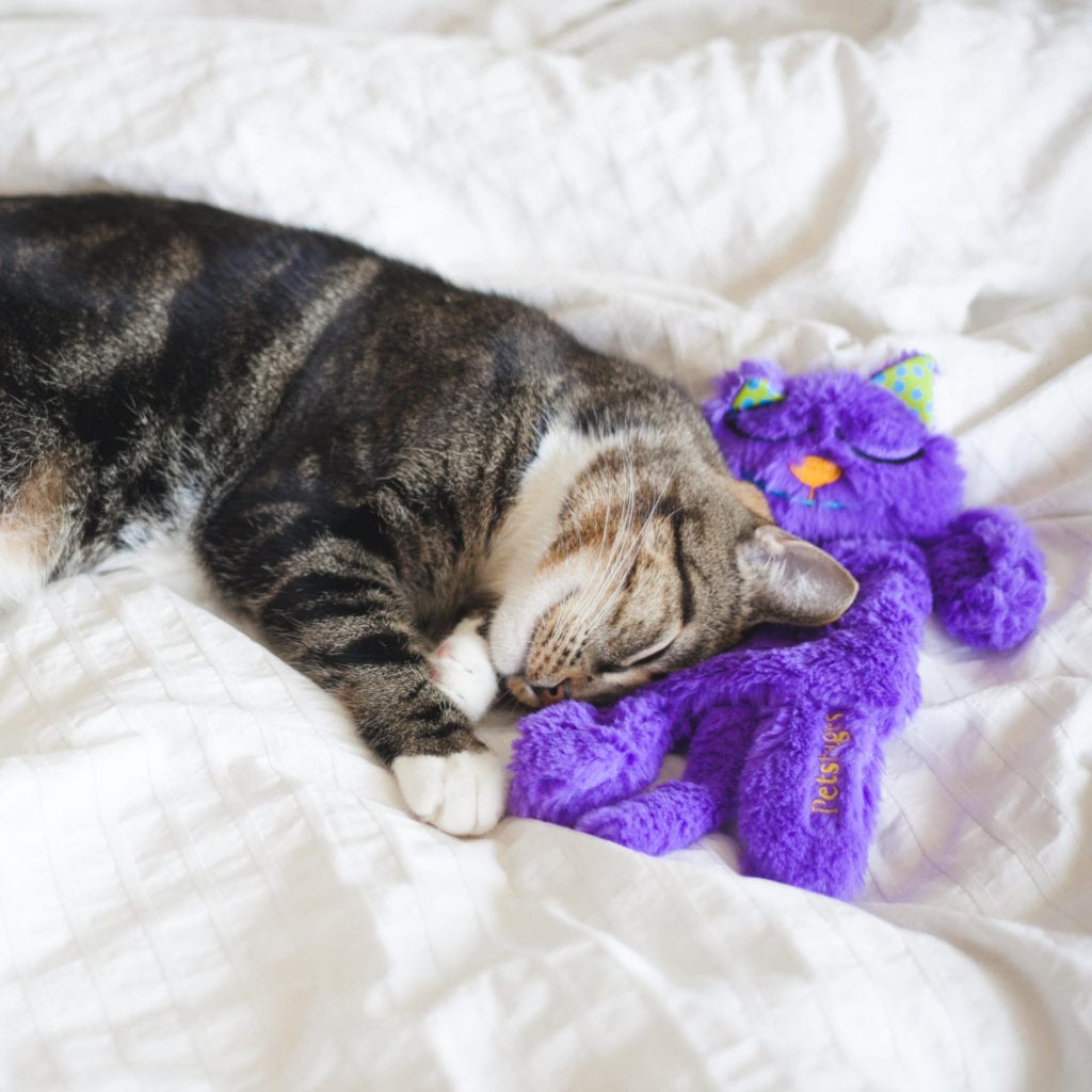 CAT GIFT GUIDE PURR PILLOW CAT TOY