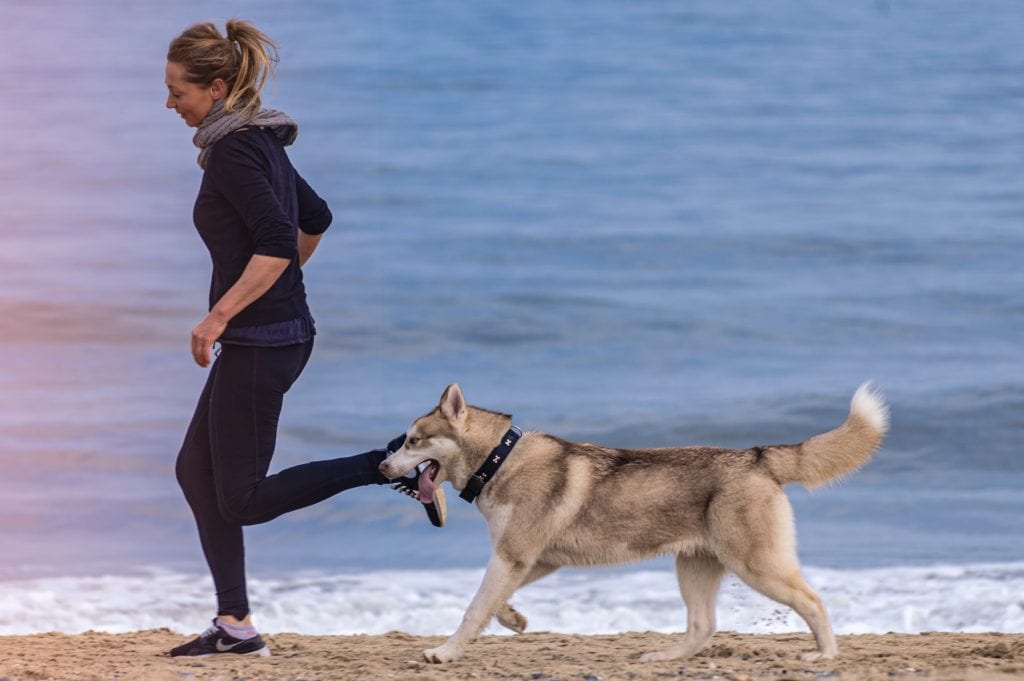 benefit of rescuing a dog