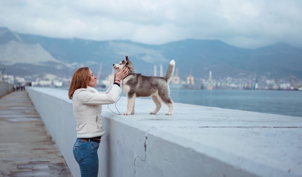 benefit of rescuing a dog