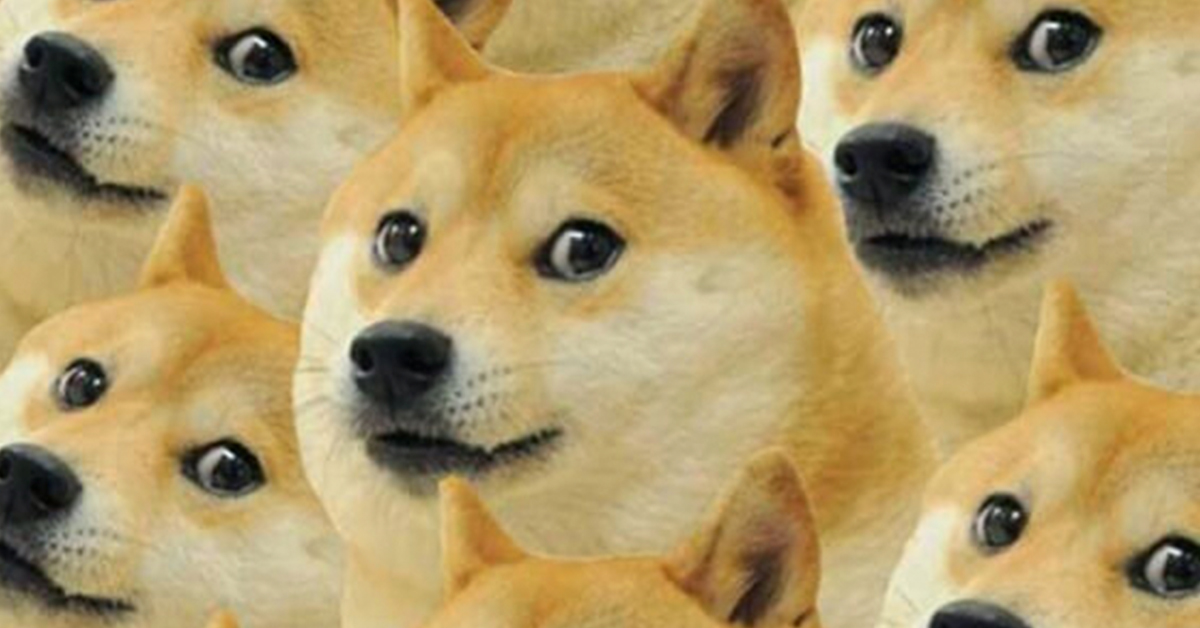 Doggolingo: A Guide to the Internet’s Favorite Language